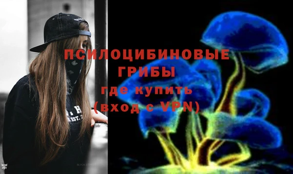 эйфоретик Беломорск
