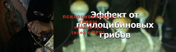винт Белокуриха
