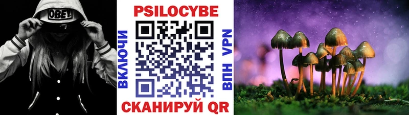 Псилоцибиновые грибы Psilocybe  MEGA ССЫЛКА  Вельск  наркота 